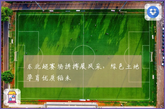 东北超赛场拼搏展风采，绿色土地孕育优质稻米