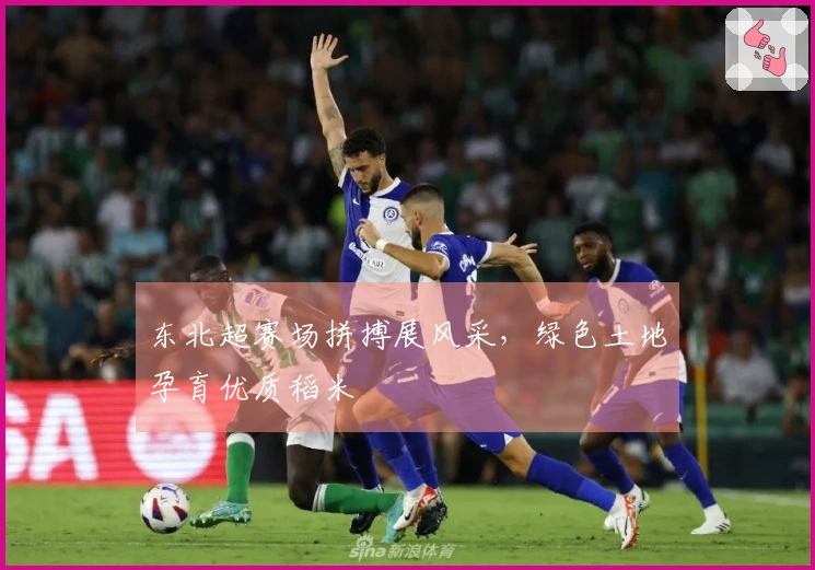 东北超赛场拼搏展风采，绿色土地孕育优质稻米